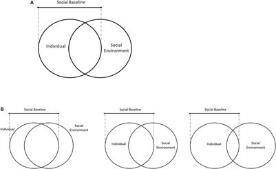 Cognitive Processes Unfold in a Social Context: A Review and Extension of Social Baseline Theory